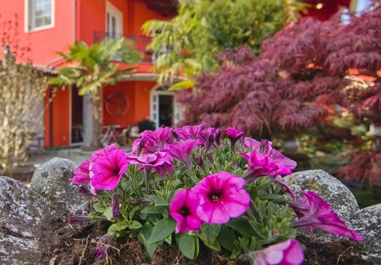 B&B Villa Botto Cossato Exterior foto